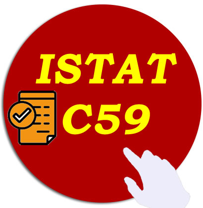 Modulo Istat o C59